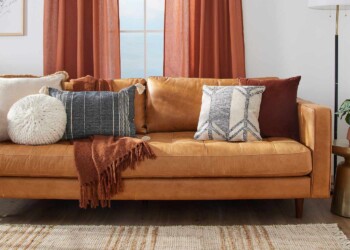 Upholstery Cleaning Services