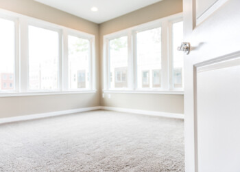 Carpet Cleaning Services